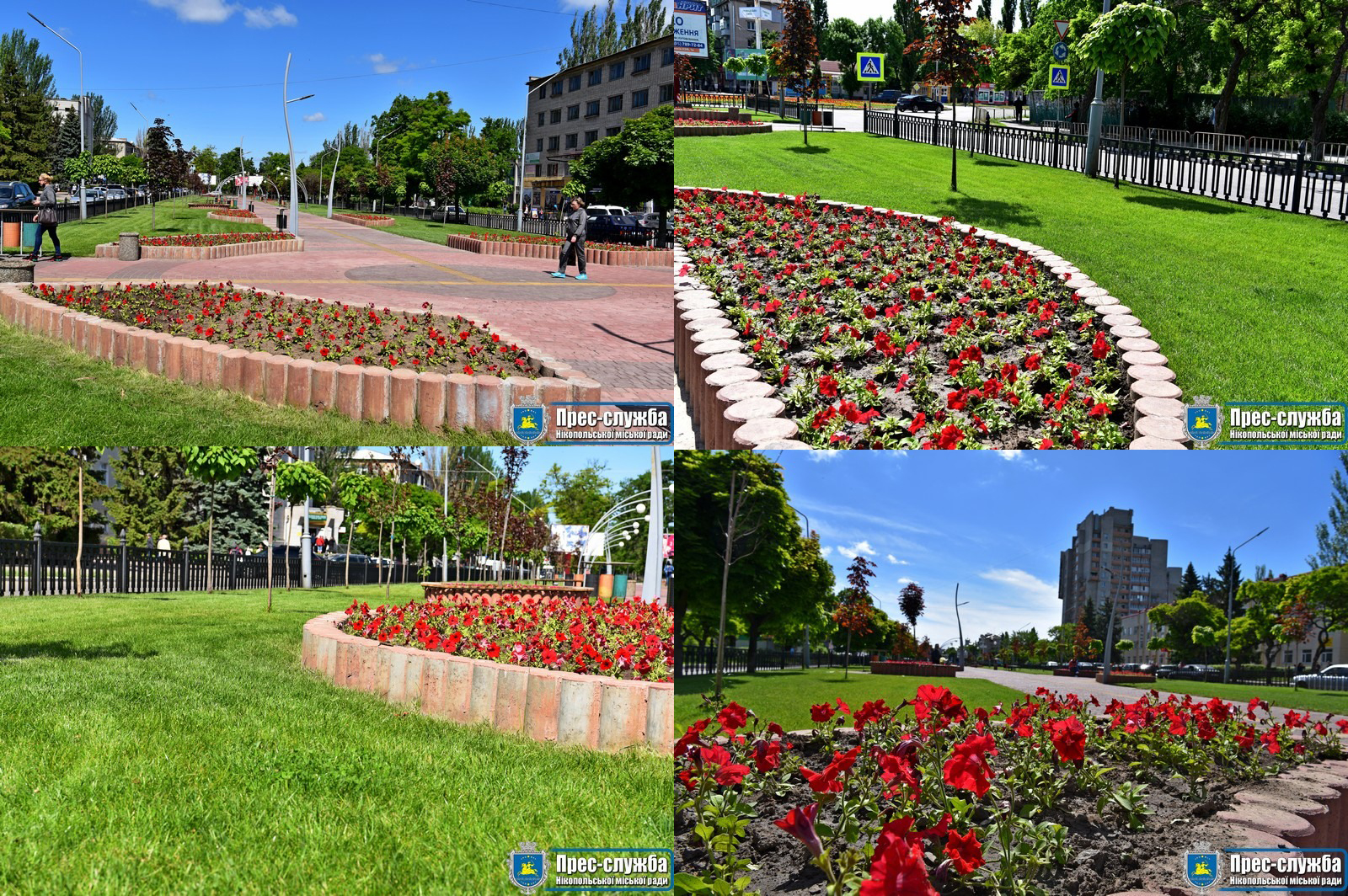 алея біля цуму у нікополі замайоріла квітами на клумбах - изображение 1